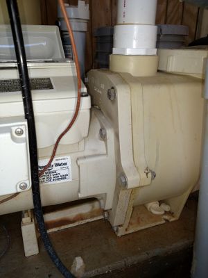 pool pump and filter repair